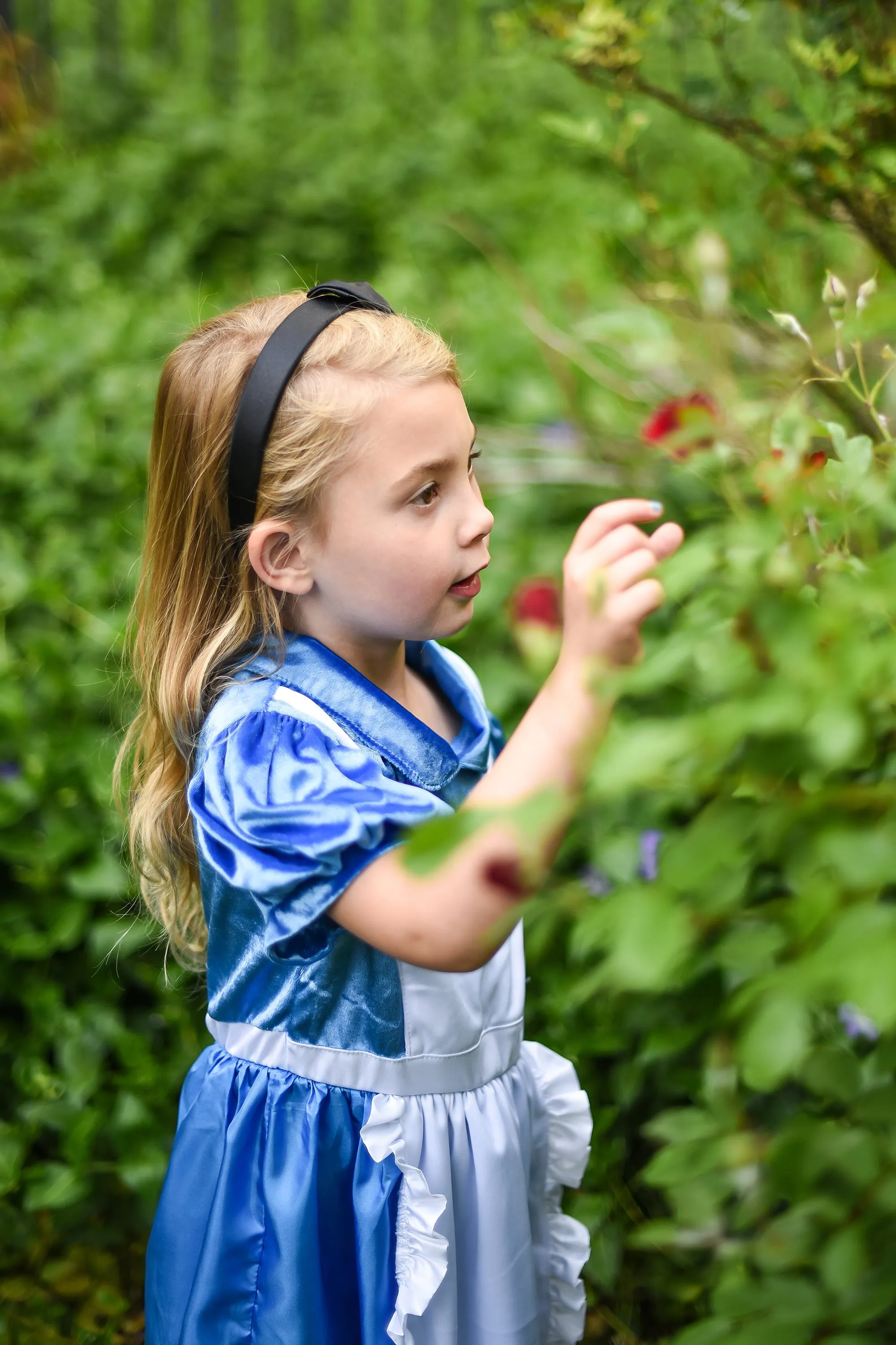 Alice in Wonderland Dress Up with Headband