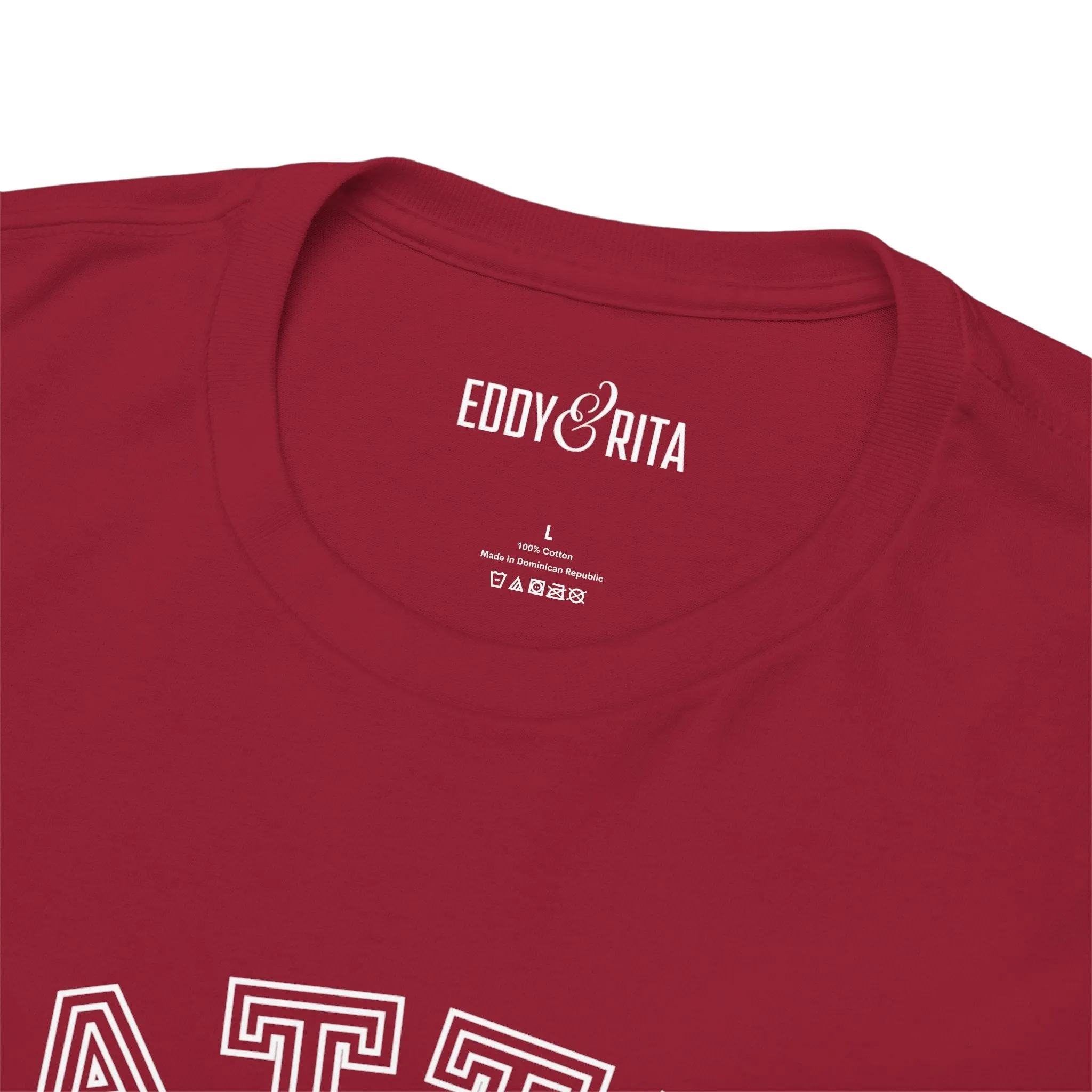 Eddy and Rita Unisex Heavy Cotton T-Shirt - "Battle Ready Pickleball" Graphic Tee for Sports Enthusiasts