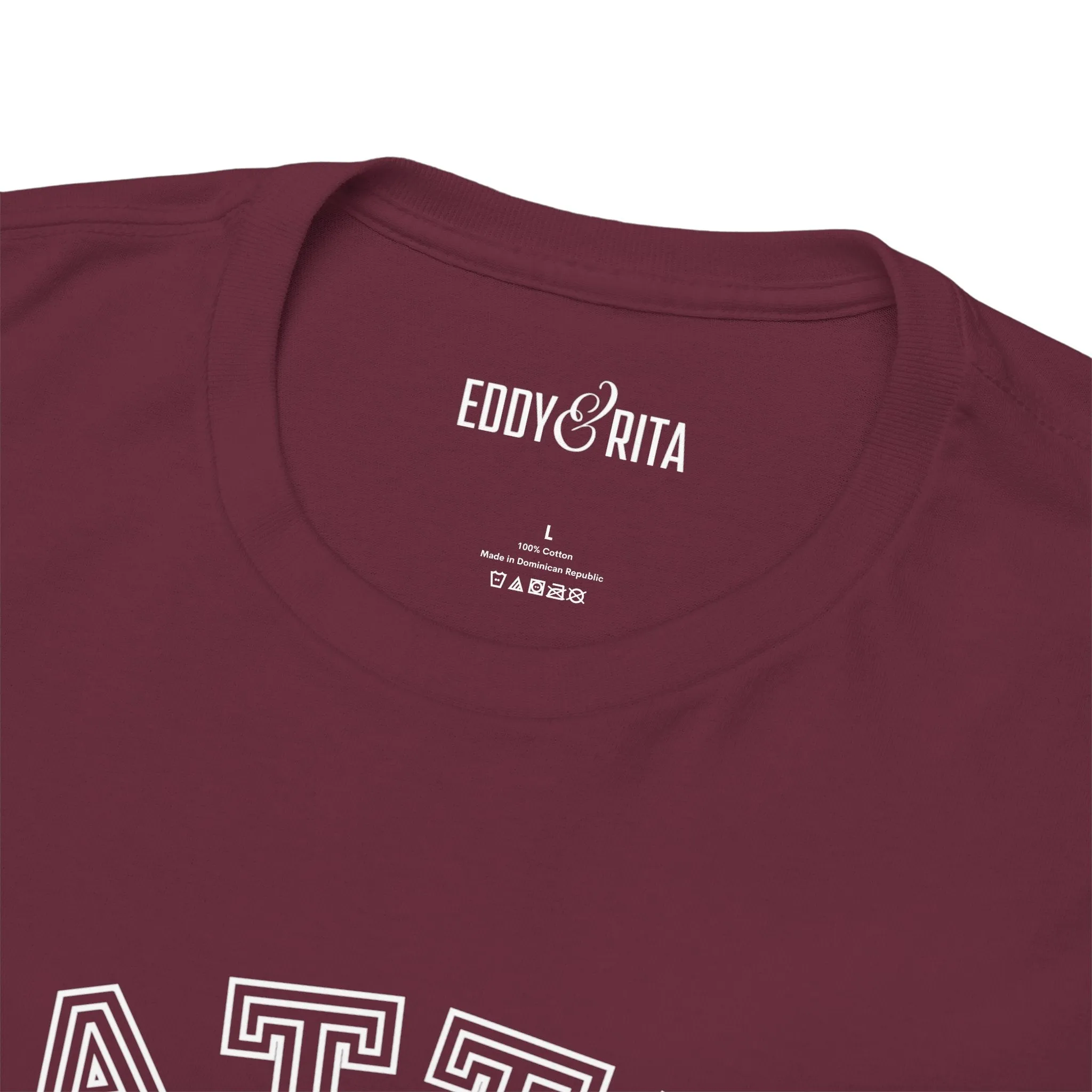 Eddy and Rita Unisex Heavy Cotton T-Shirt - "Battle Ready Pickleball" Graphic Tee for Sports Enthusiasts