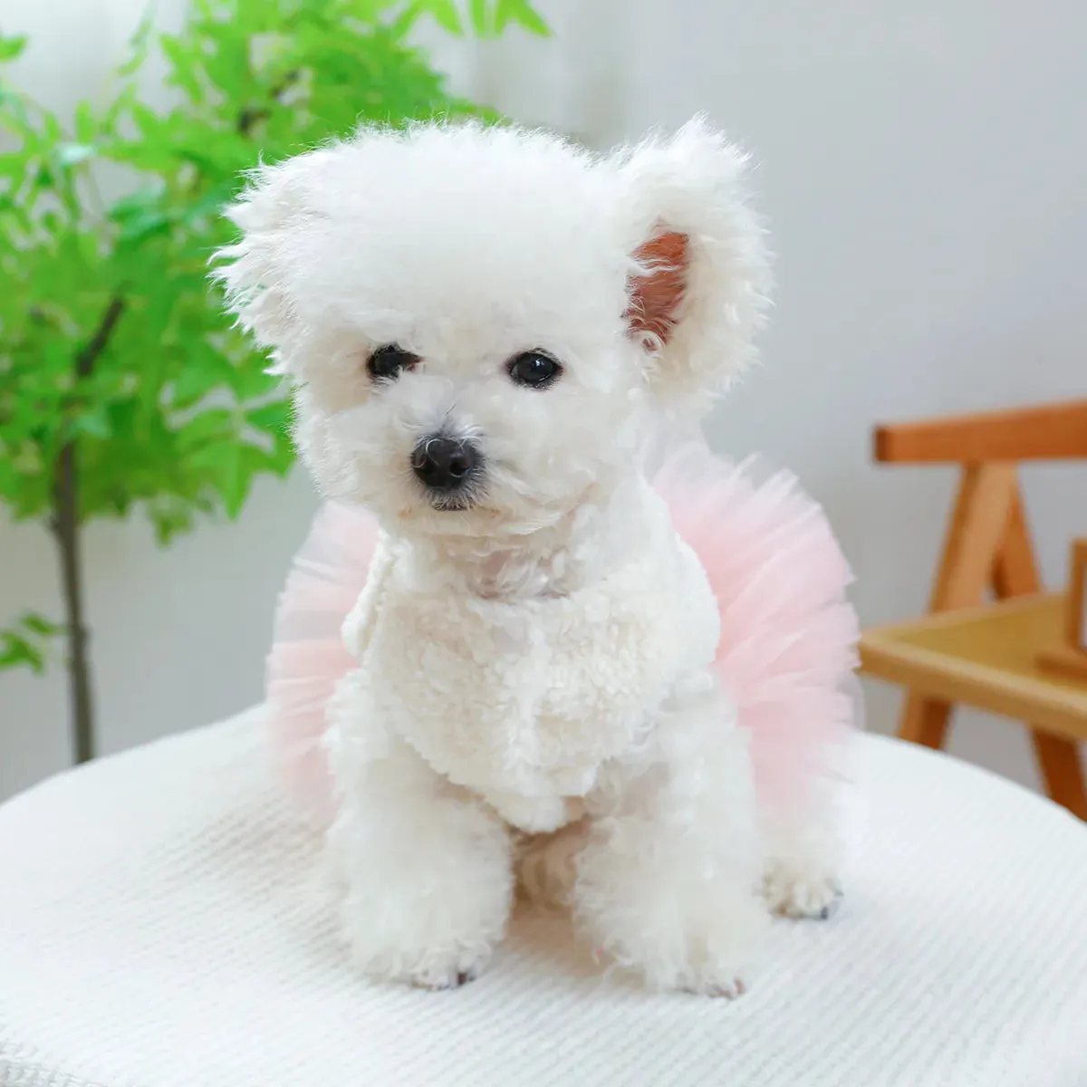 Enchanting Unicorn Elegance: White Princess Yarn Dress for Dogs - Cozy and Magical Attire for Autumn and Winter