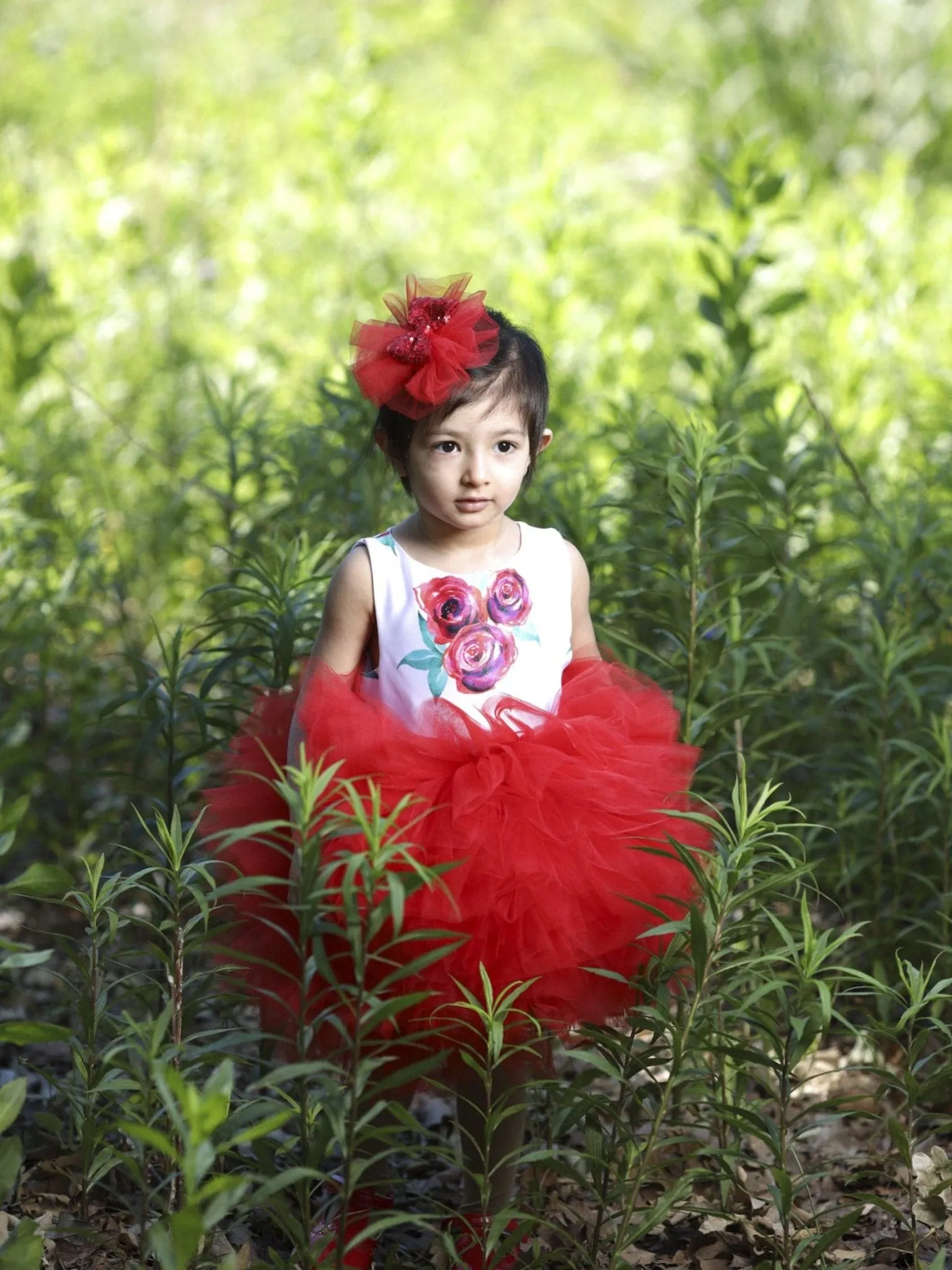 Red Rose