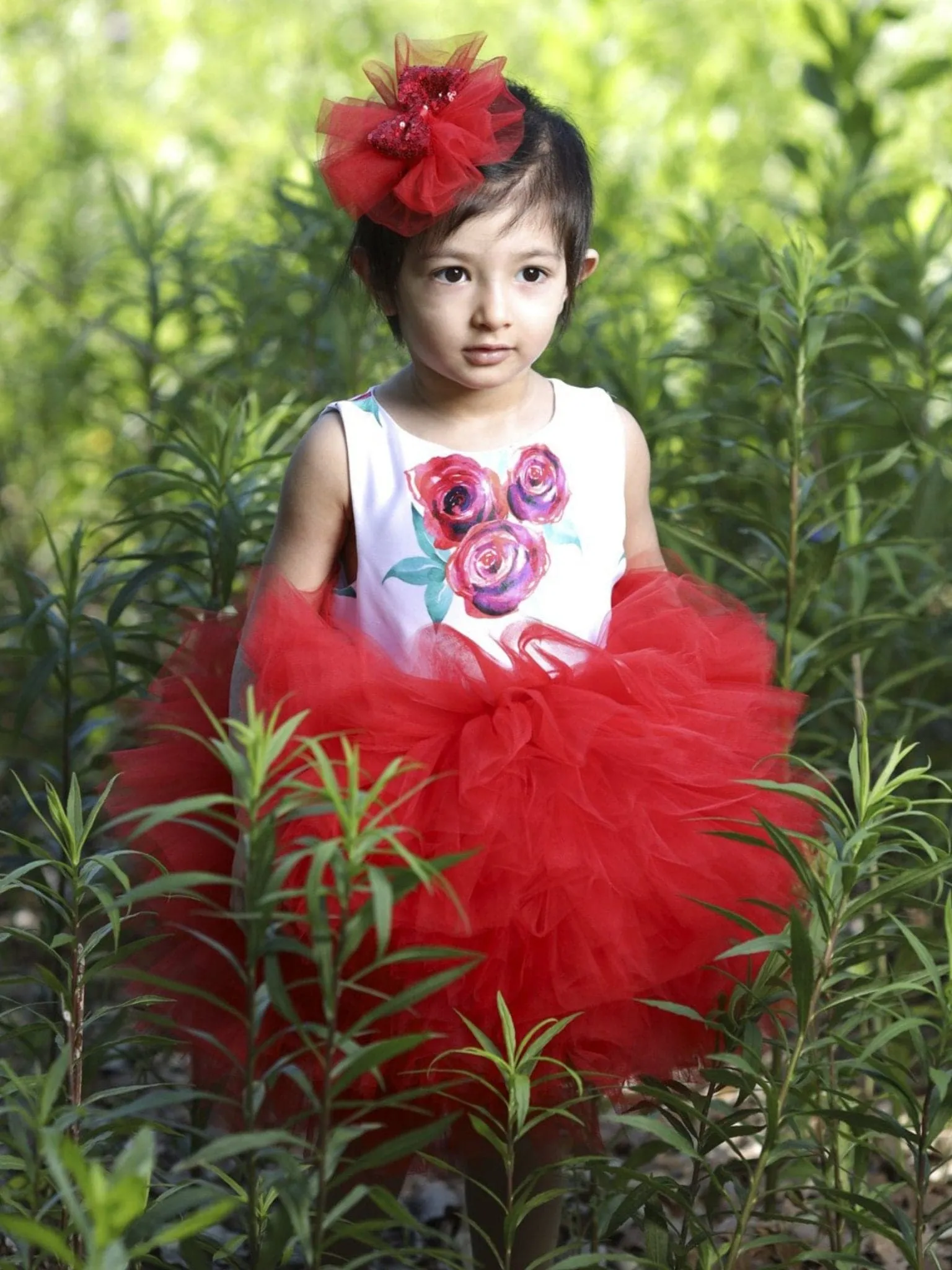 Red Rose