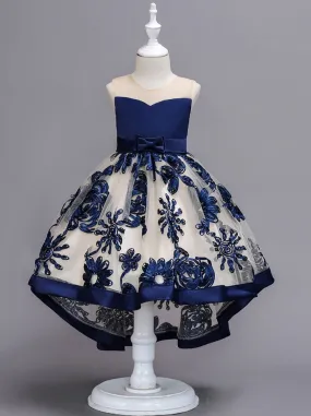 Sheer Collar Blue Embroidered Hi-Lo Dress